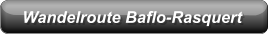Wandelroute Baflo-Rasquert